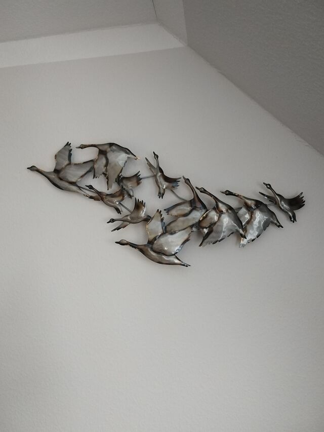 Ferienwohnung in Ostseeheilbad Zingst - Zur Wellenwiese 24 - Bild 12