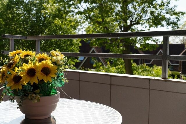 Ferienwohnung in Dahme - Berolina Sonnentau - Bild 21