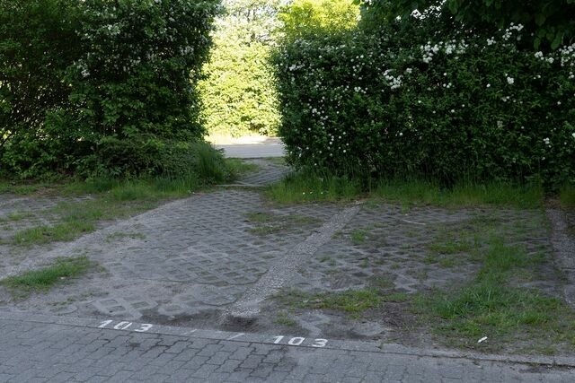 Ferienwohnung in Dahme - Berolina Sonnentau - Bild 23