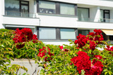 Ferienwohnung in Scharbeutz - Erste Reihe - Bild 23