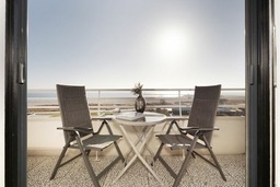 Stranddistel 7 L&uuml;tte H&uuml;tt