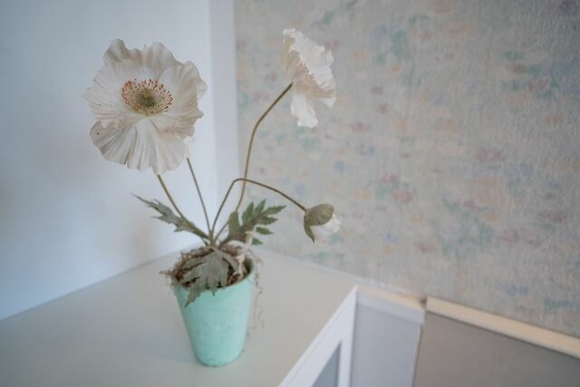 Ferienwohnung in Grömitz - Carpe Diem - Bild 9