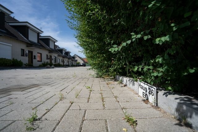 Ferienwohnung in Grömitz - Carpe Diem - Bild 25
