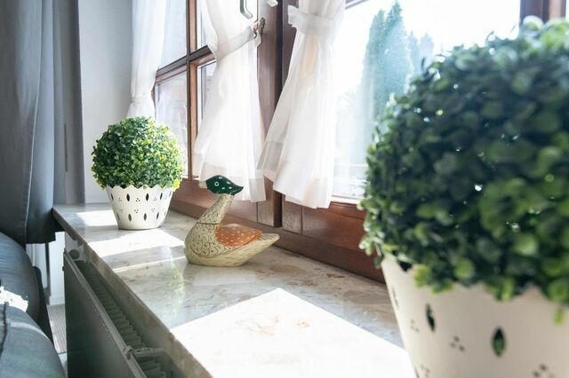 Ferienwohnung in Kellenhusen - Ostseegarten Goldulme - Bild 8