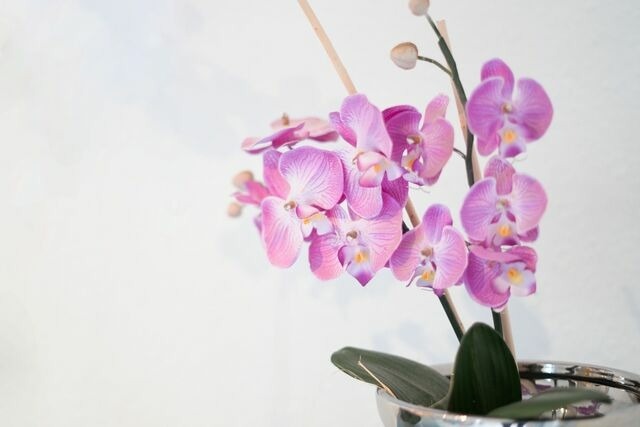 Ferienhaus in Kellenhusen - Ferienhaus Kamphans - Bild 19