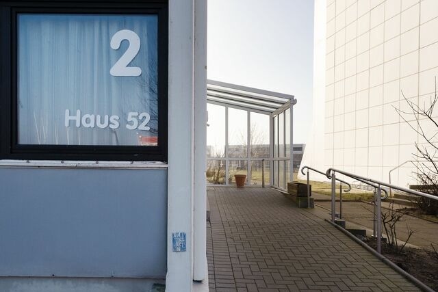 Ferienwohnung in Fehmarn OT Burgtiefe - Stranddistel 2 Meerblick - Bild 15