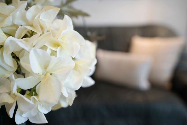 Ferienwohnung in Kellenhusen - Sol Mare Baltic-Stern - Bild 7