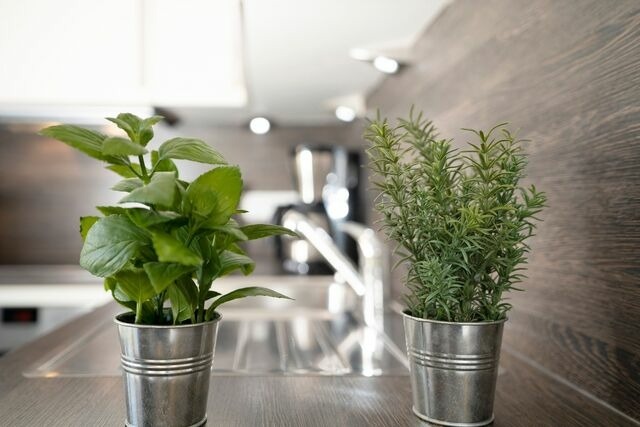 Ferienwohnung in Grömitz - Oldenburger Straße 28 Carpe Diem Grömitz - Bild 24