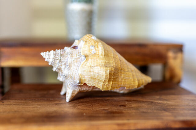 Ferienwohnung in Laboe - Strandstraße 2 Treibgut - Bild 4