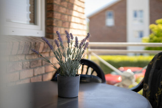 Ferienwohnung in Schönberger Strand - Wohnung 3 - Bild 19
