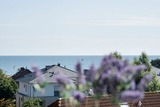 Ferienwohnung in Dahme - Berolina Seeblick - Bild 8