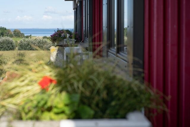 Ferienwohnung in Dahme - Berolina Abendsonne - Bild 16