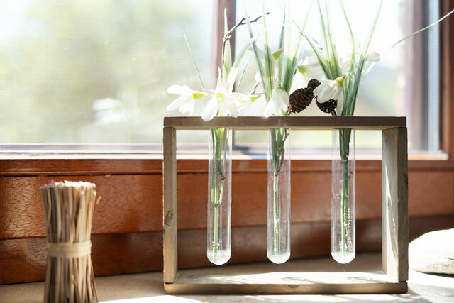 Ferienwohnung in Fehmarn OT Sahrensdorf - Ferienhaus May App. 1 - Bild 10