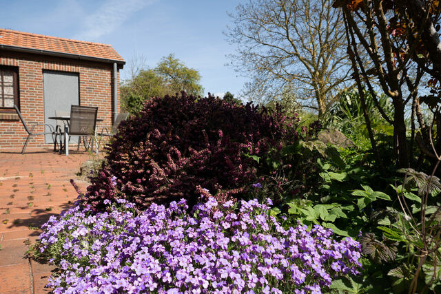 Ferienwohnung in Fehmarn OT Sahrensdorf - Ferienhaus May App. 1 - Bild 16