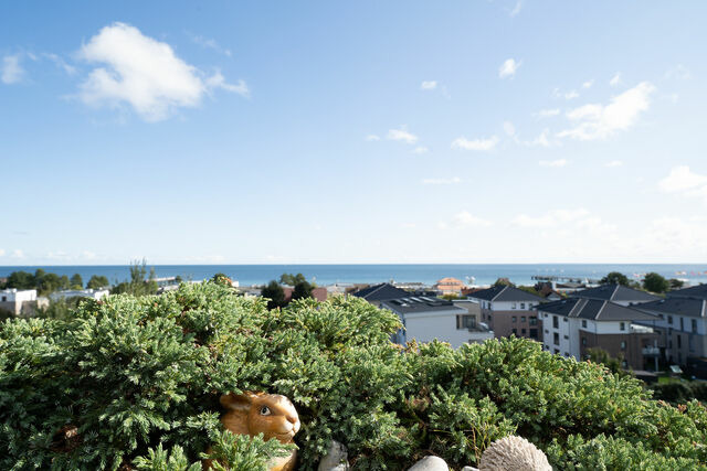 Ferienwohnung in Dahme - Berolina Wohnung 518 - Bild 12