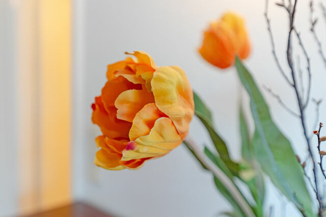 Ferienwohnung in Scharbeutz - Appartementhaus Terrassenhügel Strandhüpfer - Bild 17