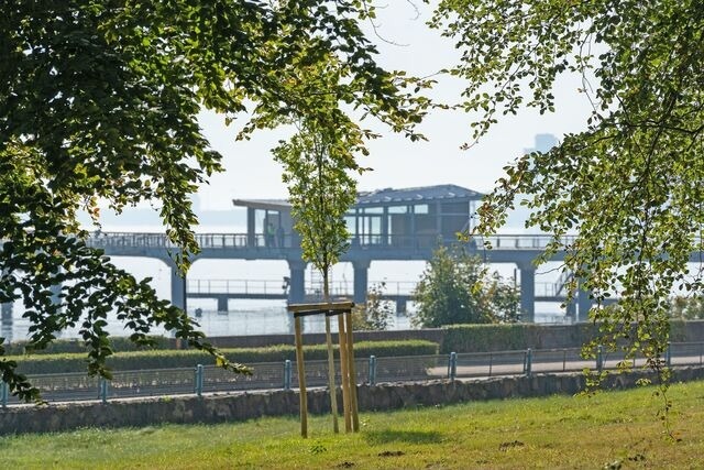 Ferienwohnung in Haffkrug - Sierksdorfer Weg 4a Küstenperle - Bild 8