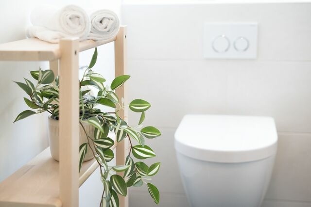 Ferienwohnung in Grömitz - Haus im Grünen Wohnung 2 - Bild 21