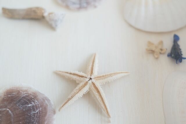 Ferienwohnung in Gr&ouml;mitz - Wicheldorfstra&szlig;e 20 Seem&ouml;we - Bild 10