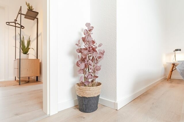 Ferienwohnung in Kellenhusen - Ostseeperle Marlene - Bild 23