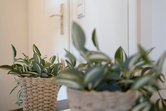 Ferienwohnung in Gr&ouml;mitz - Baltic D&uuml;nenBude - Bild 18