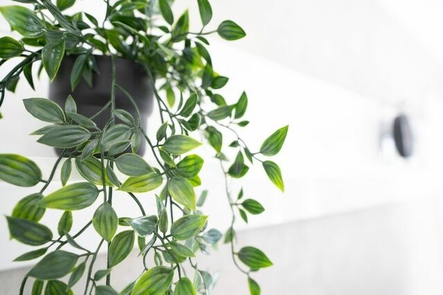 Ferienwohnung in Gr&ouml;mitz - Haus Titania Wohnung 2 - Bild 9