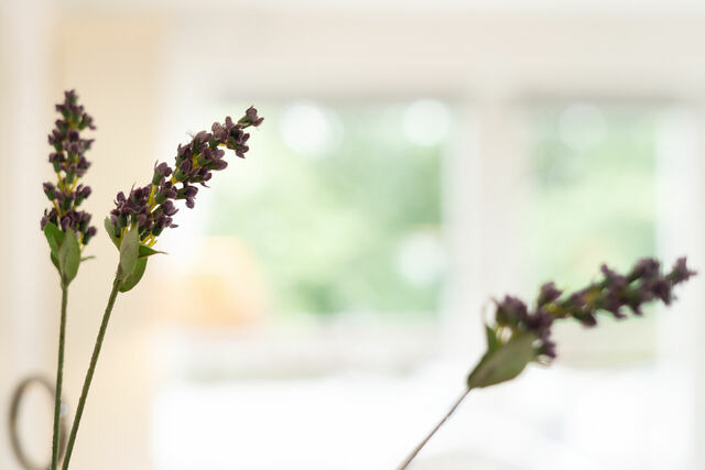 Ferienwohnung in Kellenhusen - Waldstraße 2 Kellenhusenliebe - Bild 12