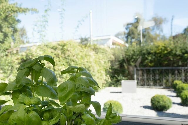 Ferienwohnung in Lensterstrand - Bungalow Zwergenweg 2b - Bild 10