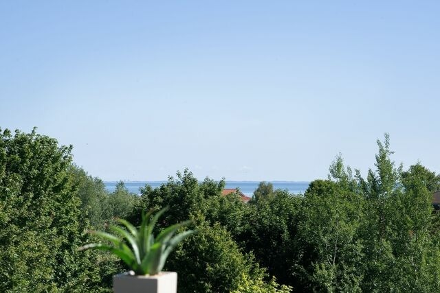 Ferienwohnung in Dahme - Berolina Belcanto - Bild 13