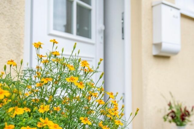 Ferienwohnung in Kellenhusen - Fasanenweg 10- Idyll am Wald - Bild 19
