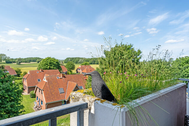 Ferienwohnung in Dahme - Berolina Ostseekrabbe - Bild 9