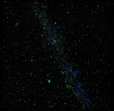 Ferienwohnung in Grömitz - Seehus II - Bild 24