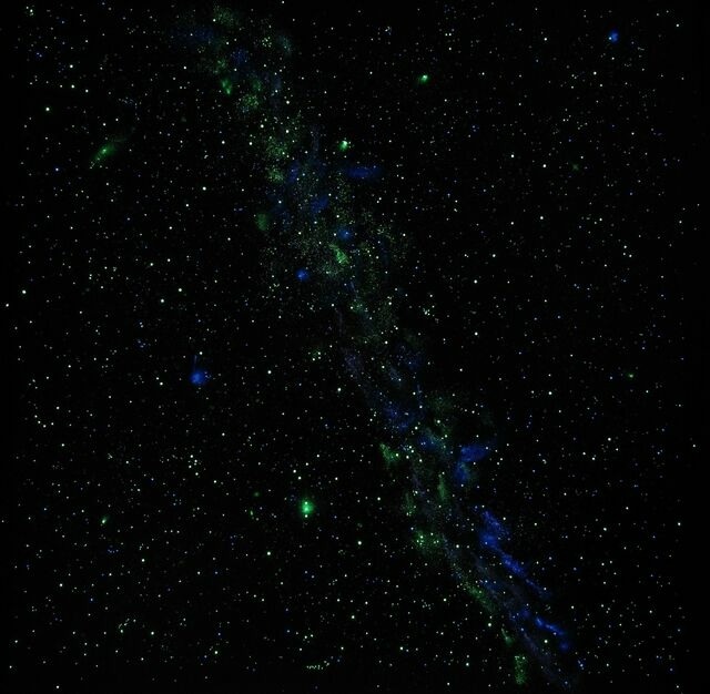 Ferienwohnung in Grömitz - Seehus II - Bild 24