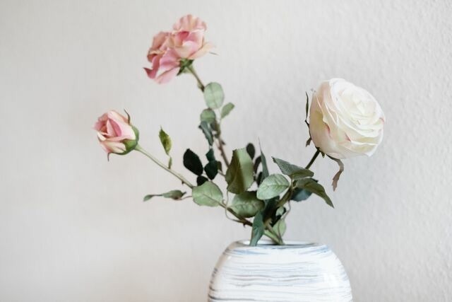 Ferienwohnung in Gr&ouml;mitz - Belvedere Strandrose - Bild 7