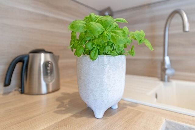 Ferienwohnung in Dahme - Michel - Bild 17