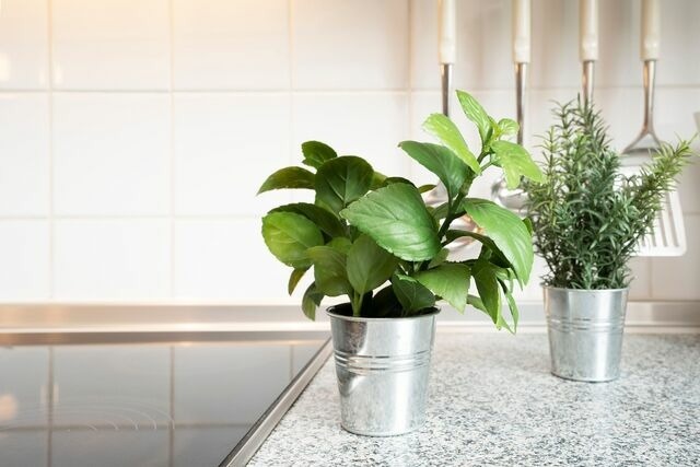 Ferienwohnung in Gr&ouml;mitz - Gildestra&szlig;e 31- Wohnung 3 - Bild 18