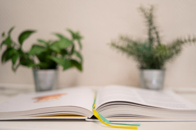 Ferienwohnung in Grömitz - Fürstenhof Wohnung 5 - Bild 25