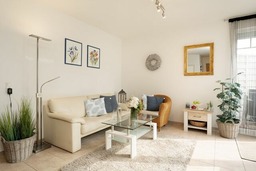 Ostseeperle Kornblume