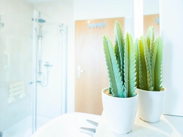 Ferienwohnung in Kellenhusen - Ostseeperle Kornblume - Bild 21