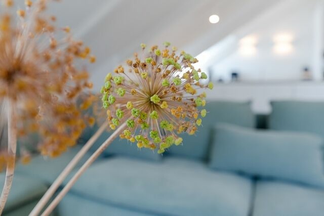 Ferienwohnung in Haffkrug - Strandloiper - Bild 8