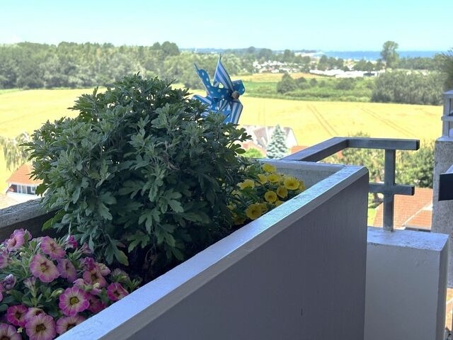 Ferienwohnung in Dahme - Berolina 701 - Seabreeze - Bild 10