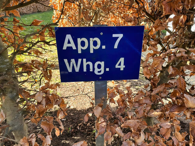 Ferienwohnung in Großenbrode - Möwennest 4 - Großenbrode - Bild 17