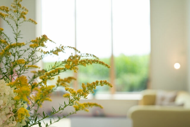 Ferienhaus in Riepsdorf - Haus am See - Bild 7