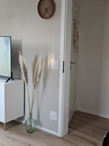 Ferienwohnung in Lenste - Kleiner Seestern - Bild 19