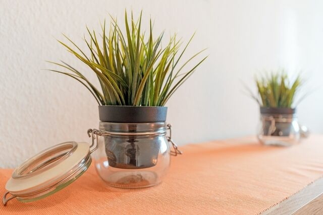 Ferienwohnung in Dahme - Strandhotel Dahme Schwalbennest Dahme - Bild 25