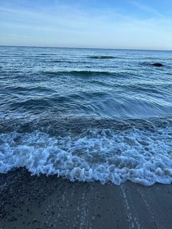 Ferienwohnung in Dranske - Kapitänskajüte am Bakenberg- D21 - Bild 23