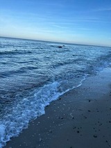 Ferienwohnung in Dranske - Kapitänskajüte am Bakenberg- D21 - Bild 25