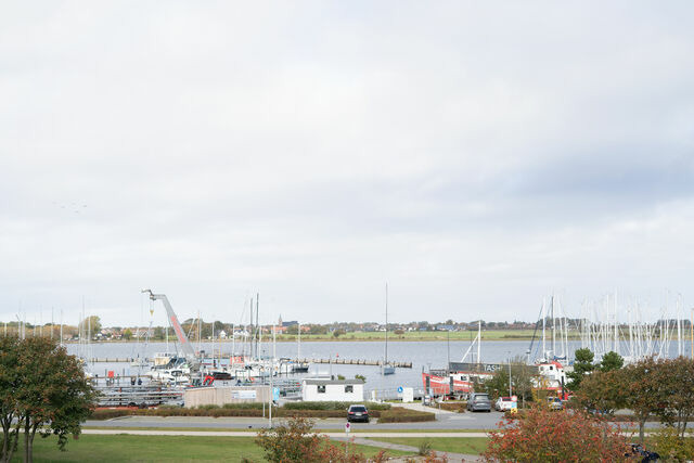 Ferienwohnung in Fehmarn - Stranddistel 4 Deck 2 - Bild 2