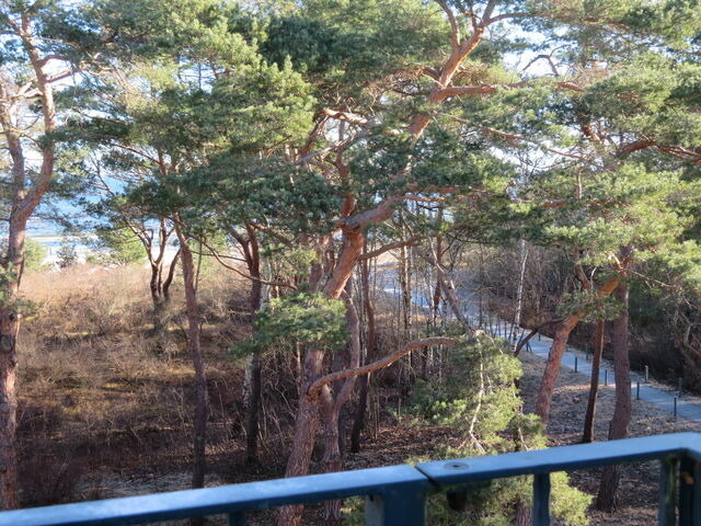 Ferienwohnung in Ahlbeck - (Brise) Appartement-Suiten Tannenburg App. 429 - Bild 13