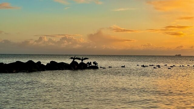 Ferienwohnung in Schönwalde - Wolkenkratzersuite - Bild 18